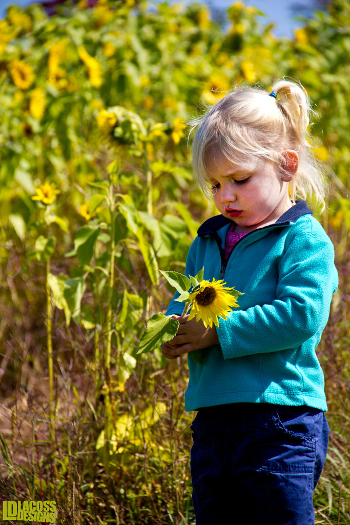 Ella With Sunflower – LacossDesigns.com