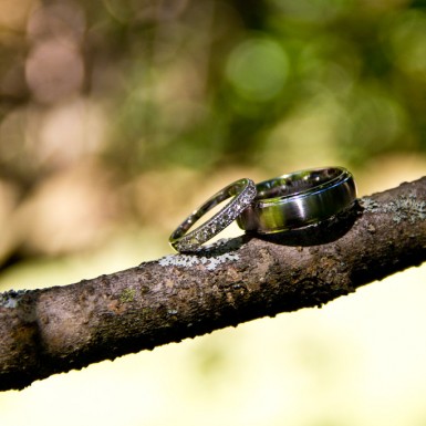 Wedding Rings On Branch – LacossDesigns.com